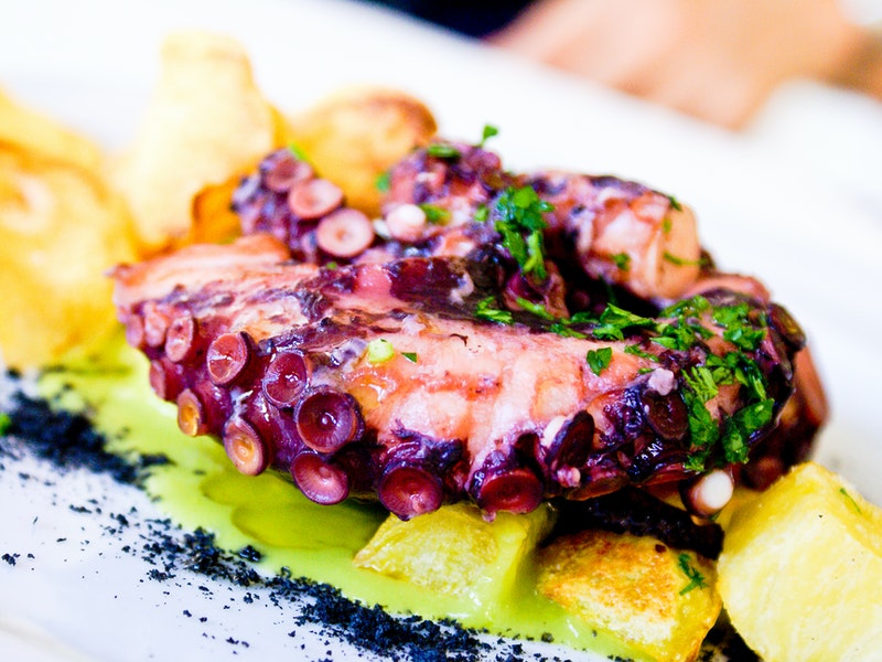 Squid and Octopus