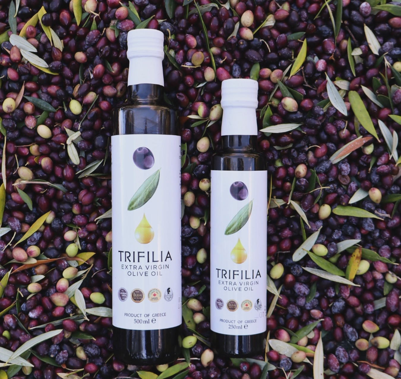 Trifilia products from our family grove in Greece