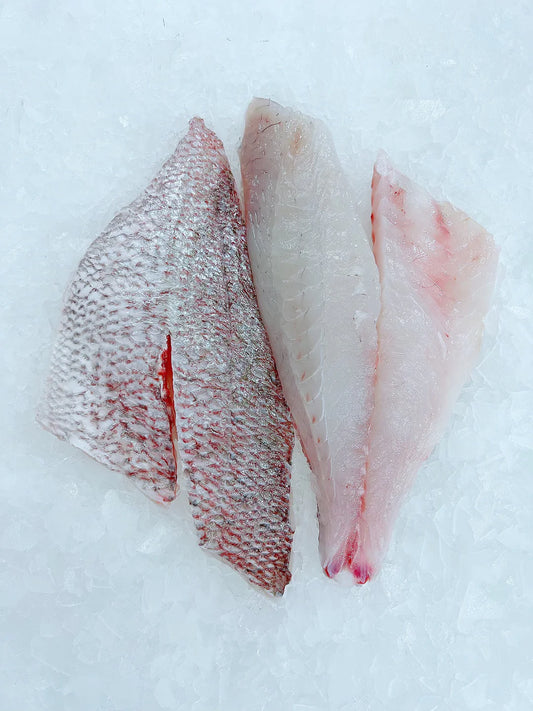 Snapper Fillets Boneless