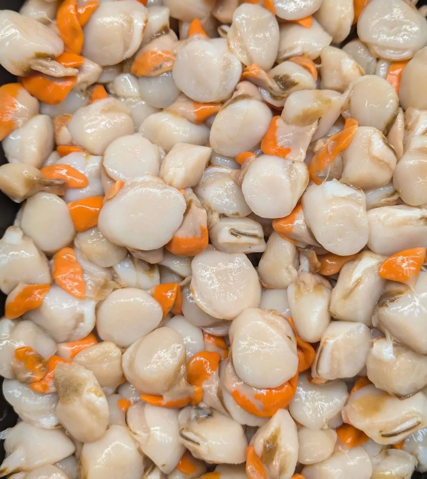 Fresh Scallops