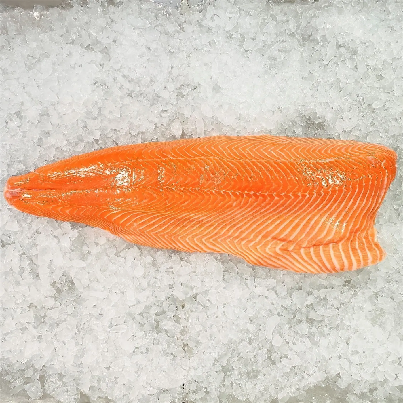 Salmon Fillet Skin Off
