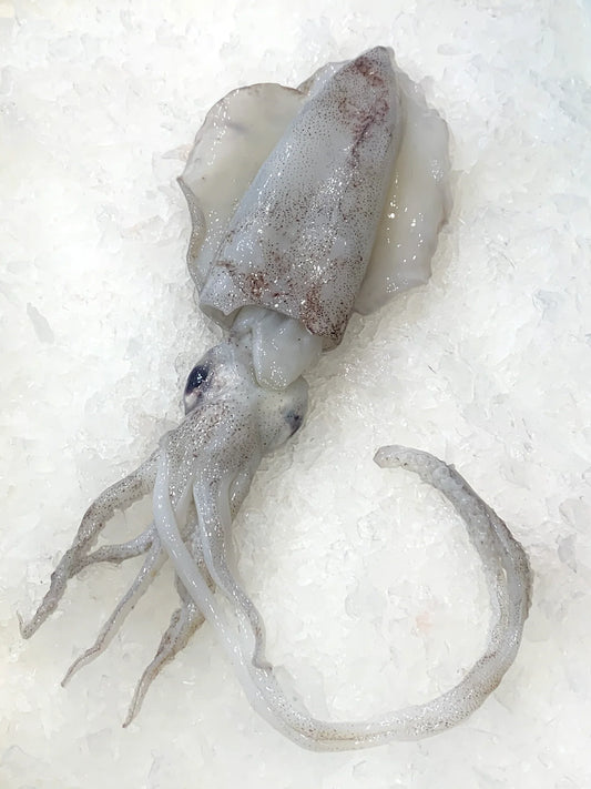 Local Fresh Calamari