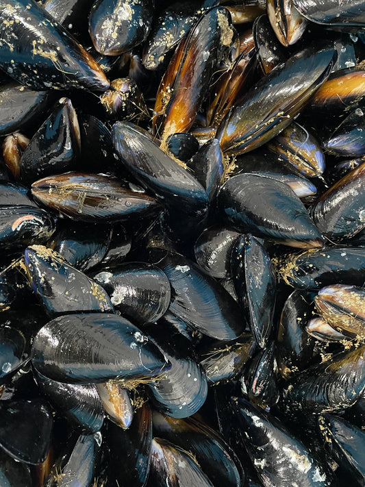 Loose Mussels