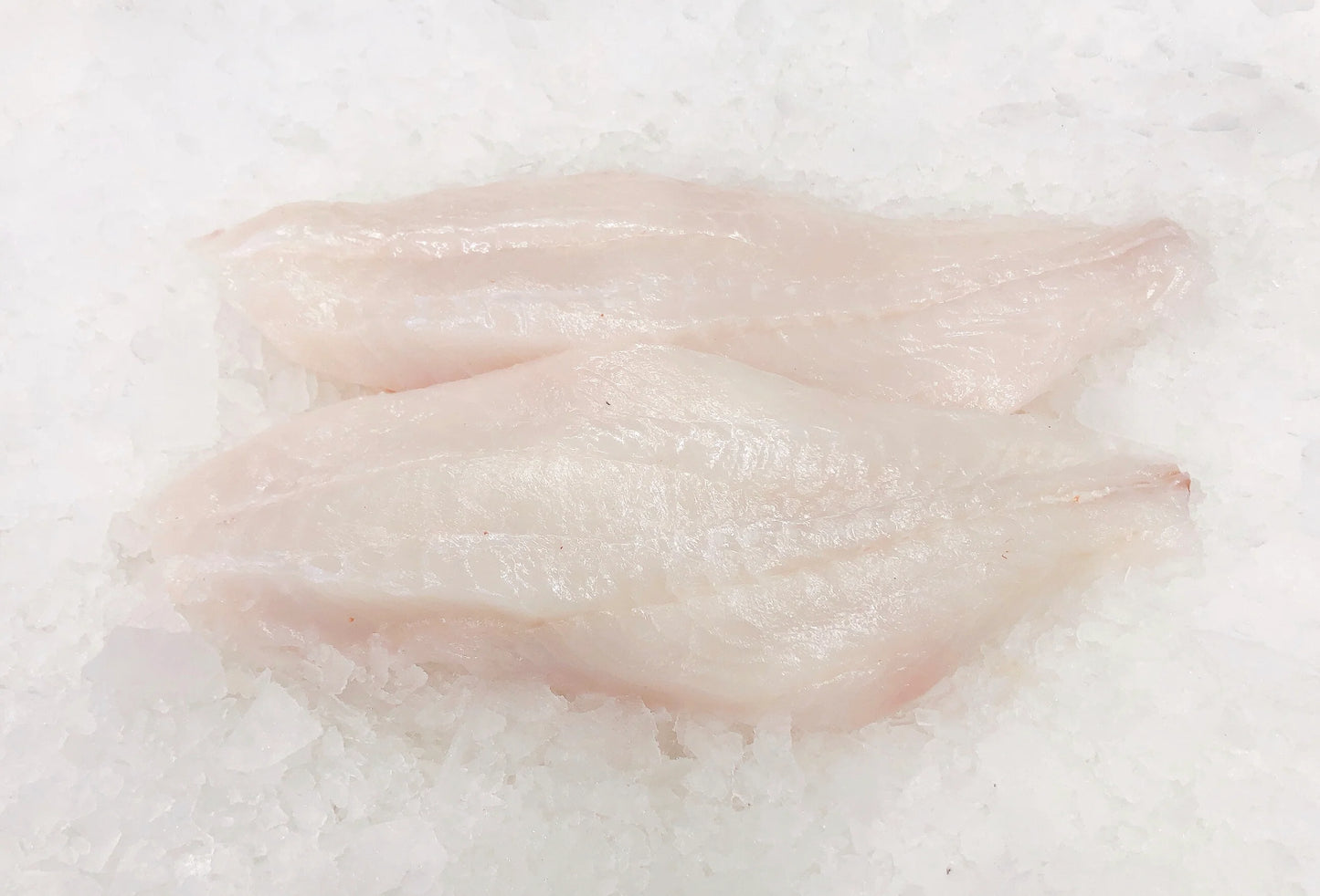 Sea Perch Fillet Skin Off (Orange Roughy)