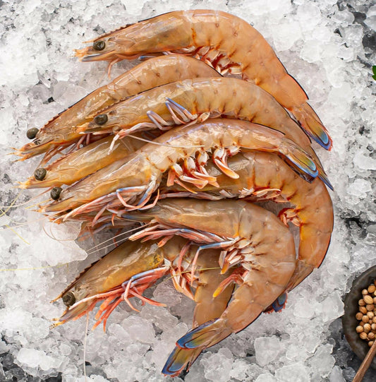 SA Whole Raw King Prawns