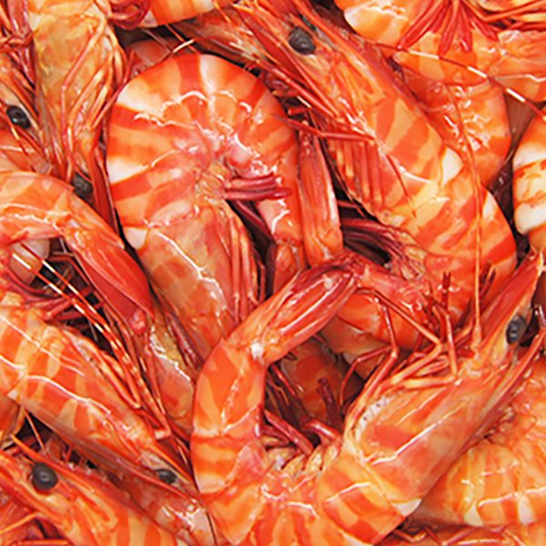 QLD Whole Cooked Tiger Prawns