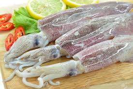 SA Whole Fresh Calamari