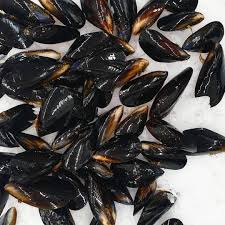 Loose Mussels
